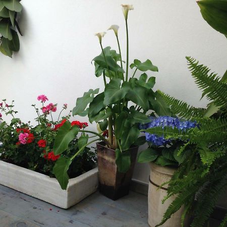 Patio San Lorenzo Cordoba Dış mekan fotoğraf