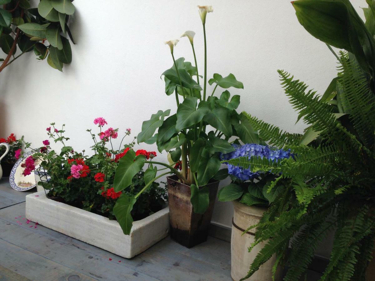 Patio San Lorenzo Cordoba Dış mekan fotoğraf