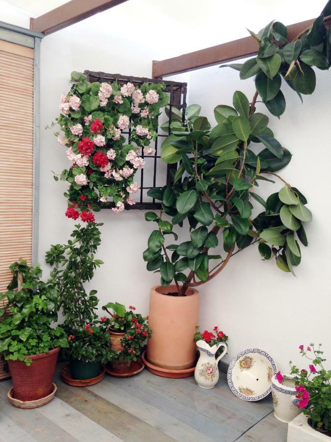 Patio San Lorenzo Cordoba Dış mekan fotoğraf