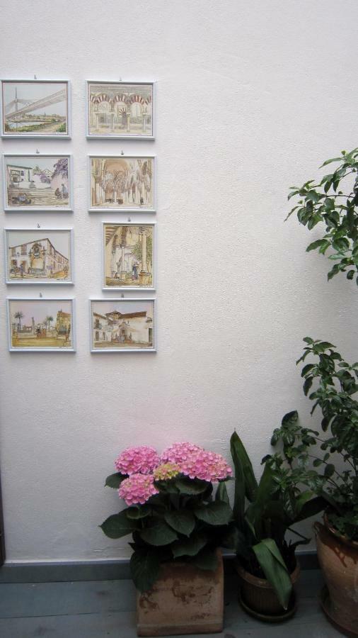 Patio San Lorenzo Cordoba Dış mekan fotoğraf