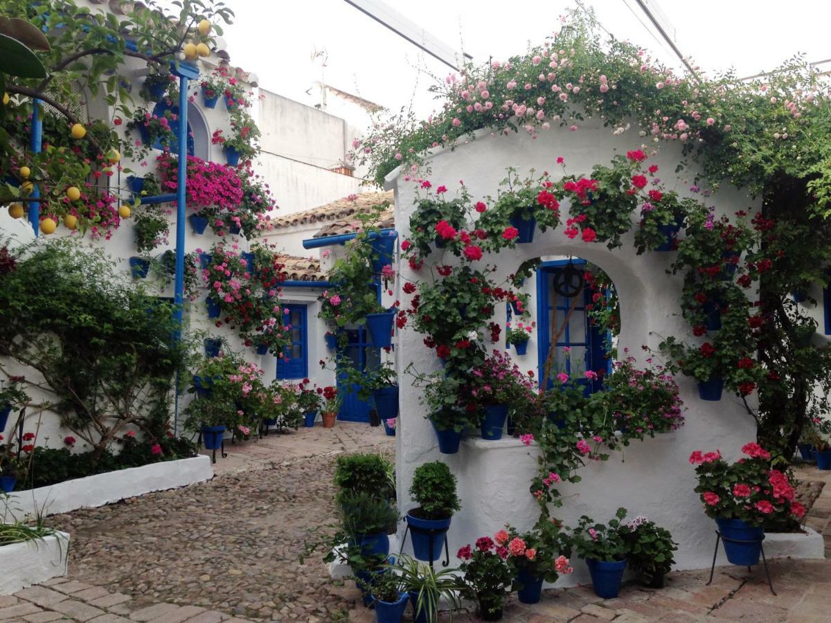 Patio San Lorenzo Cordoba Dış mekan fotoğraf