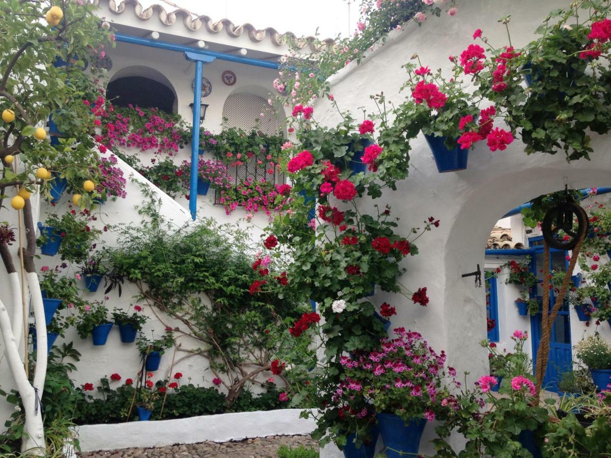 Patio San Lorenzo Cordoba Dış mekan fotoğraf